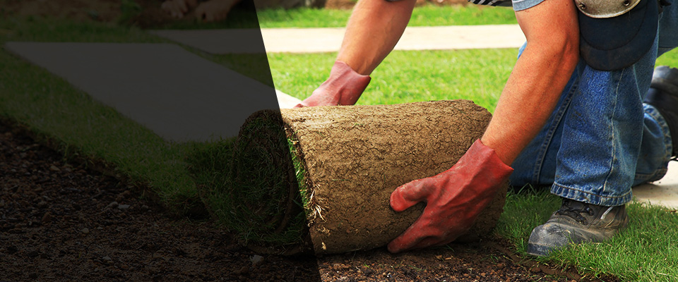 Trumbull Landscapers